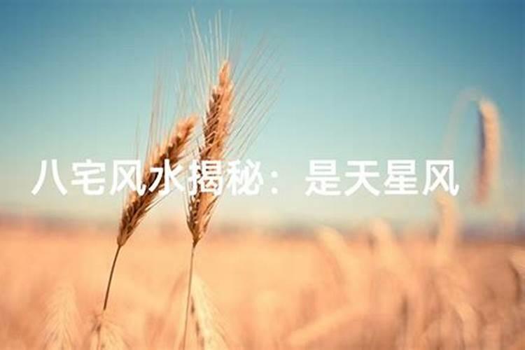 天星风水与财运有关吗？