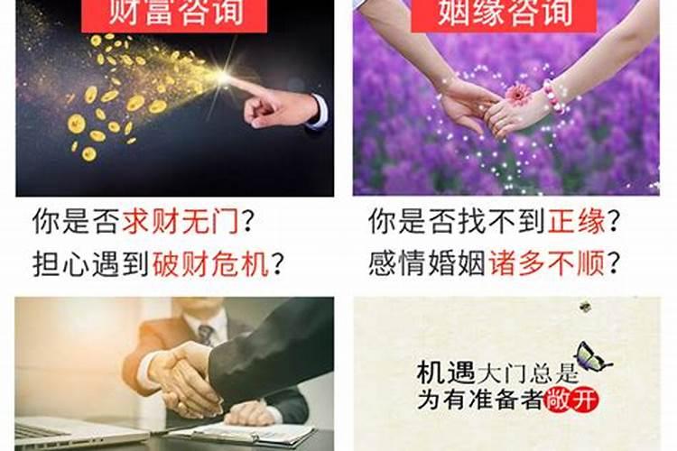 周易大师秦阳明解密生肖属狗人士的开运色彩与财富行业指南