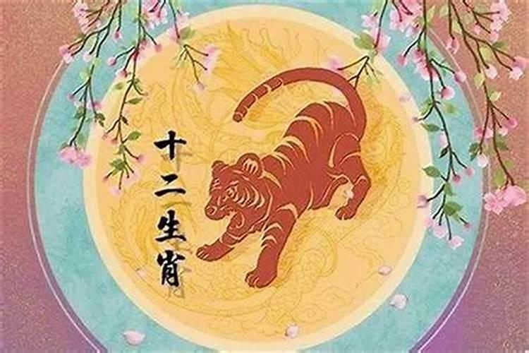 本命年的大忌属虎2025,风水大忌门口放鞋柜