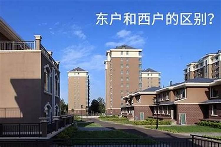 为什么很多人买西楼头？