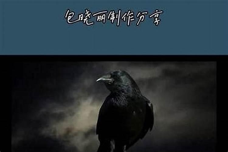 乌鸦上门预示什么？