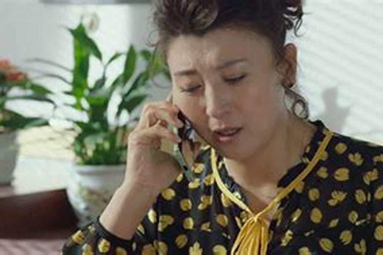 闫学晶出演的电视剧有哪些？