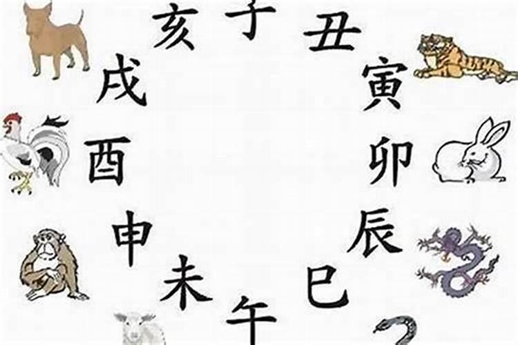 十二生肖属相与房屋风水相关如何选风水宅？