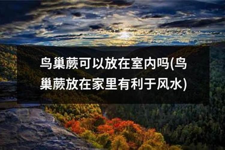 家里的窗沿下有个鸟巢从风水的角度看有什么说法吗？