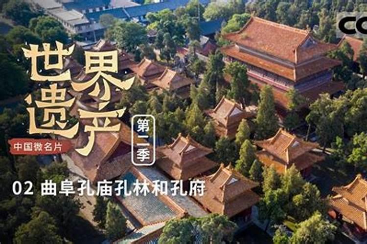 朗朗齐鲁月·曲阜之旅·孔林·宜与天地共长久