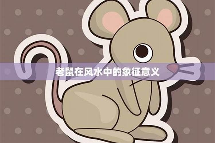 老鼠在风水学代表什么？