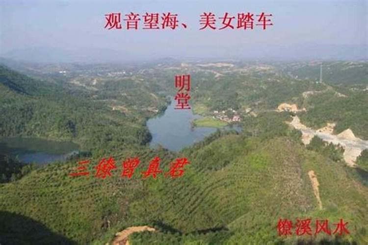 三僚村风水大师排名