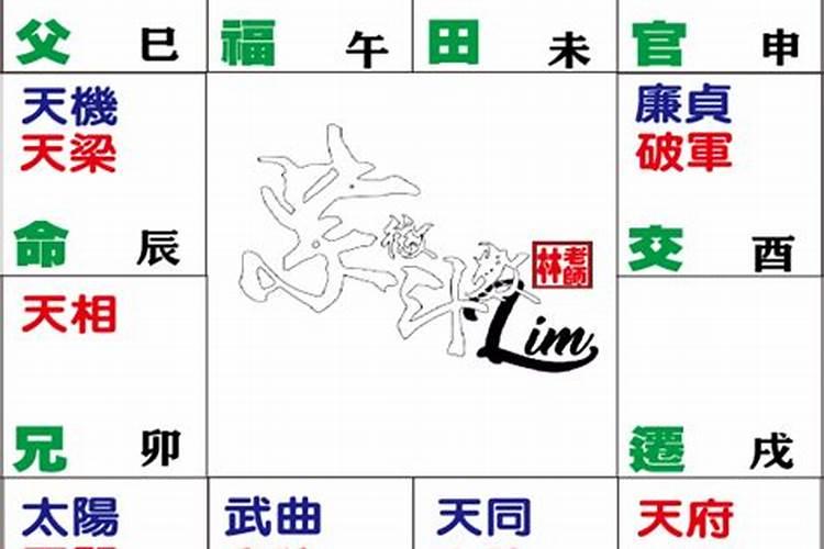 各位大师看一看,天机天梁命盘,帮解读一下,谢谢