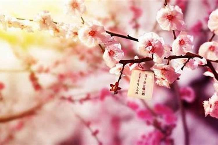 旺桃花运蕞有效的方法都有哪些？