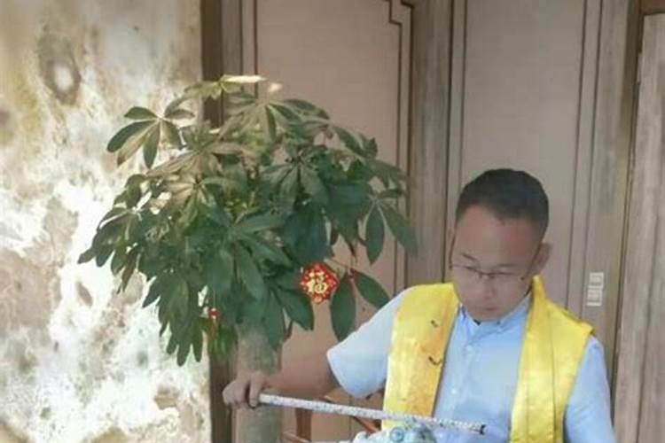 风水先生冯振财是哪里人？
