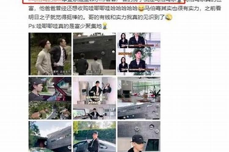 马伯骞爸爸为何要在乡村建民宿？