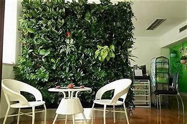 客厅屏风摆放绿植好不好？