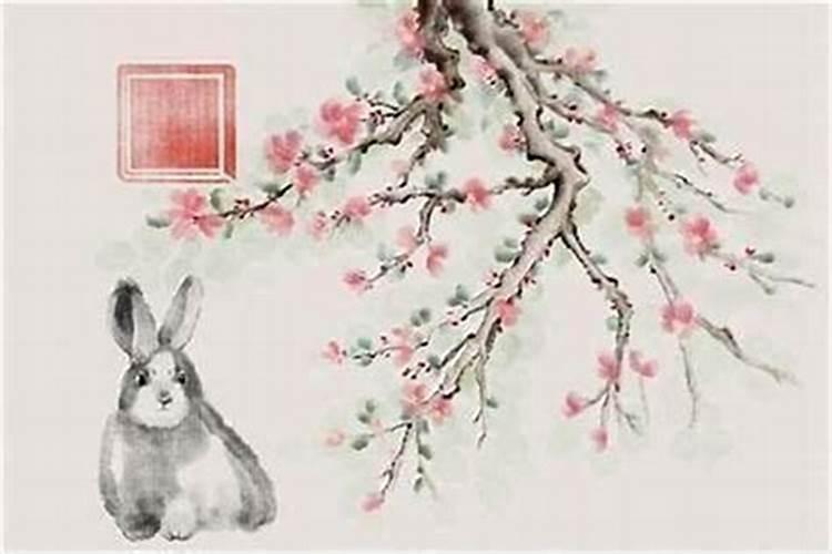 99年属兔住几楼最好属兔人最吉利的楼层数？