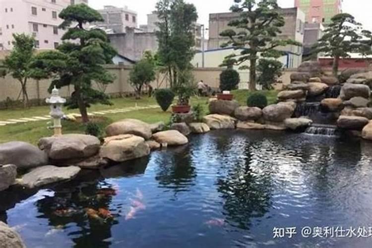 口碑好假山鱼池建造