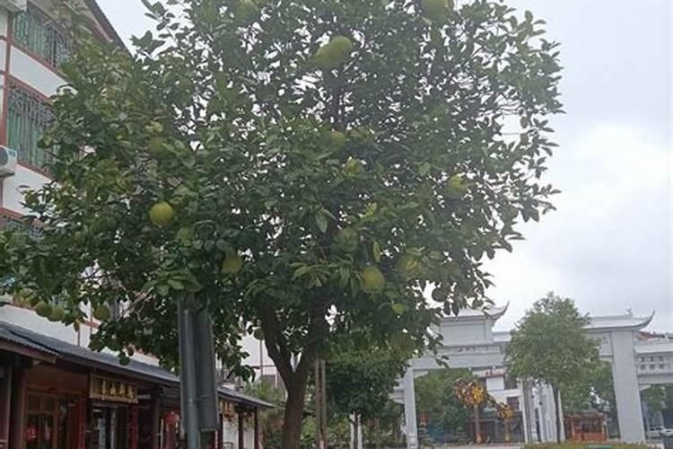 江西人怎么样？