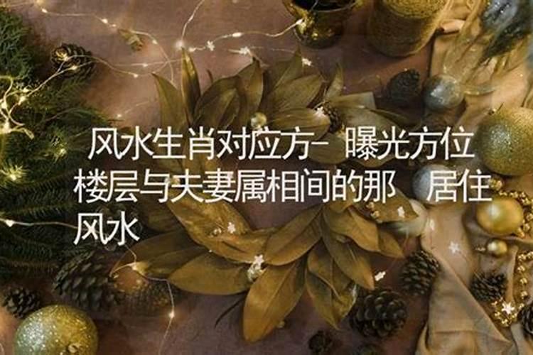 曝光方位楼层与夫妻属相间的那些风水秘密