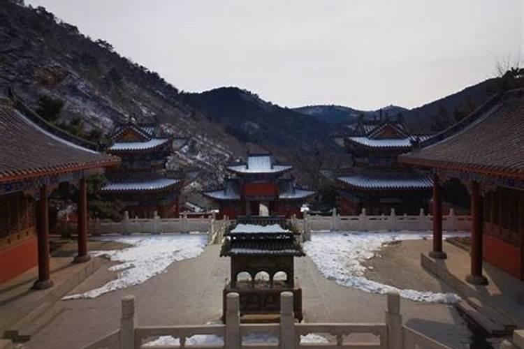关于青龙山人