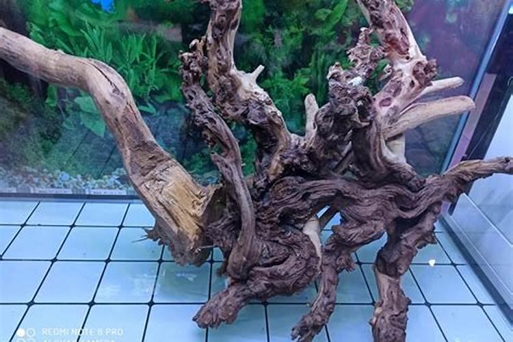鱼缸沉木真的不好选,弄不好就会黄水害鱼,教你选好沉木造美景