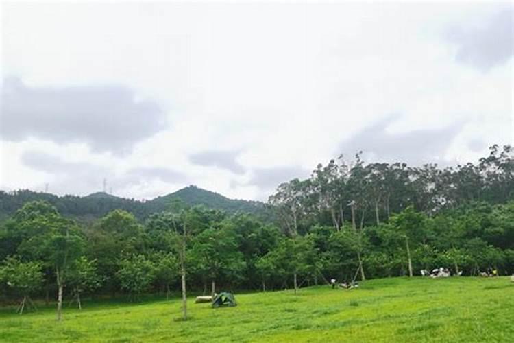 中山哪里适合野餐露营？