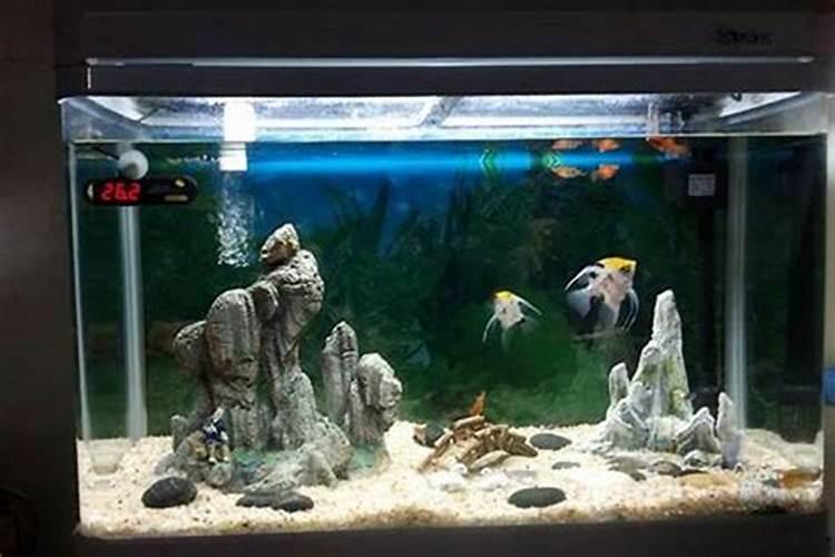 家里养鱼用来观看不信风水迷信行吗？