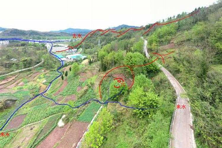 陈益峰点穴、立向和日课,哪个最重要？