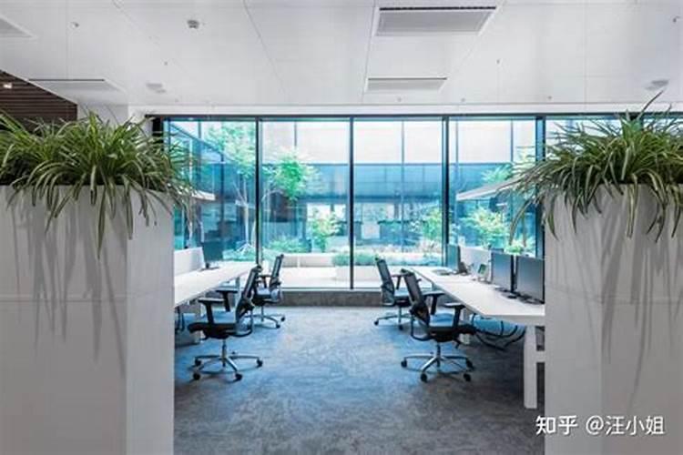 办公室摆放伟人像禁忌盘点在办公室摆放伟人像禁忌？
