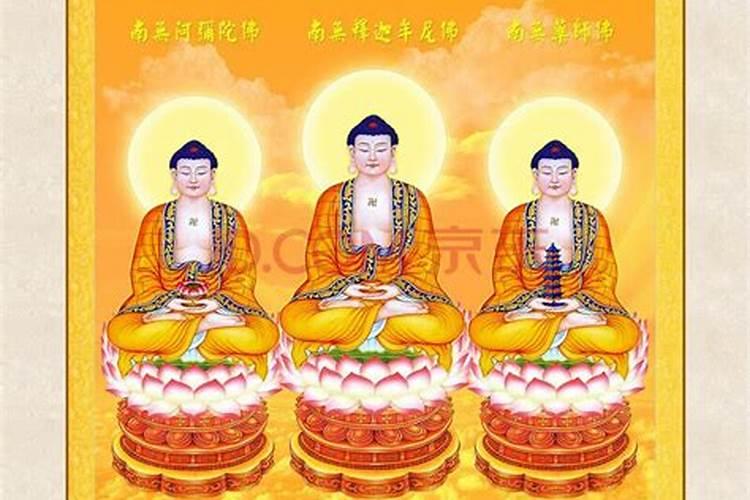 我家有释迦牟尼佛两尊,阿弥陀佛,药师佛,观世音菩萨四尊,地藏菩萨,弥勒。