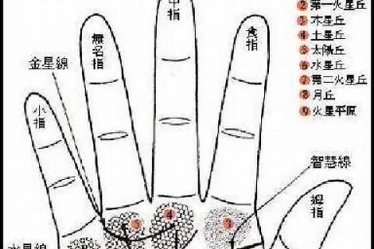 易经手掌纹路图解怎么看周易手相？