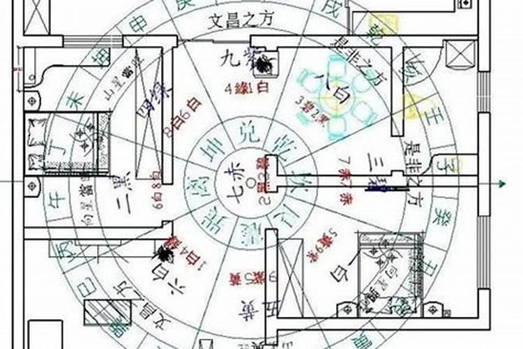 上海哪个区风水好？