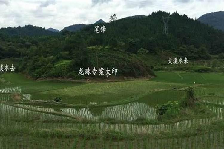 杨公风水理论到底是三合还是三元？