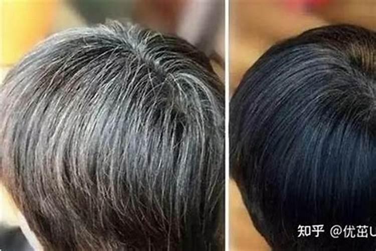 风水师为什么有白发的人？
