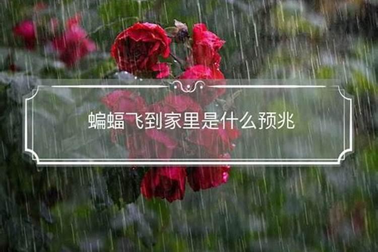 谁能解释阴阳风水先生是不是一样的？