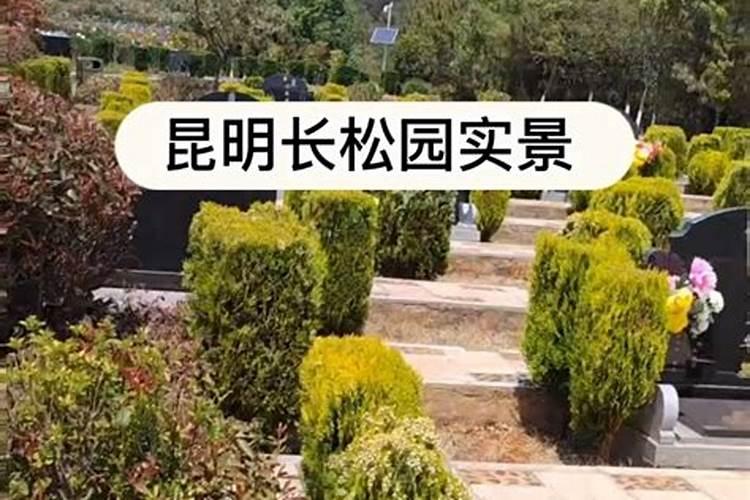 昆明长松园陵园风水好