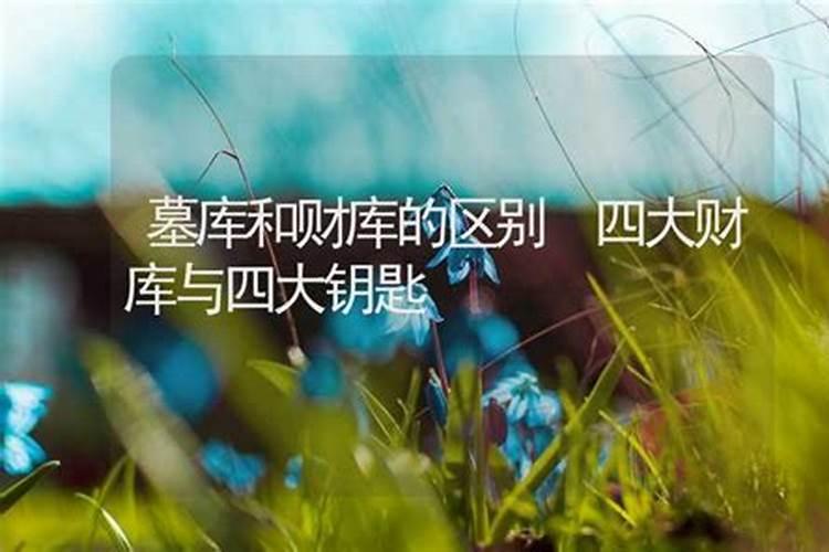 财库和墓库区别？