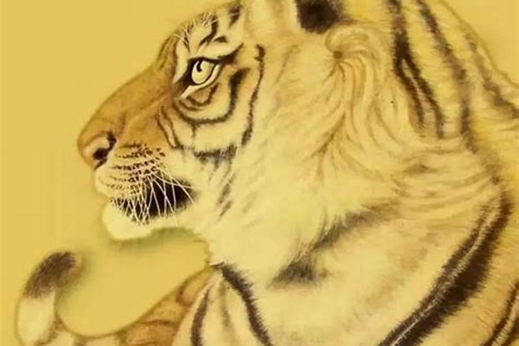风水大师家中一旦有这9大不祥之物,当心会变穷