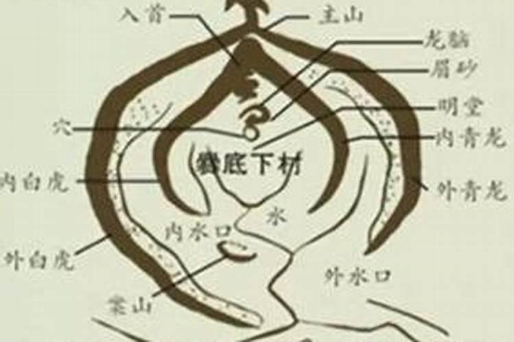 常鹤鸣易经风水师怎么样？
