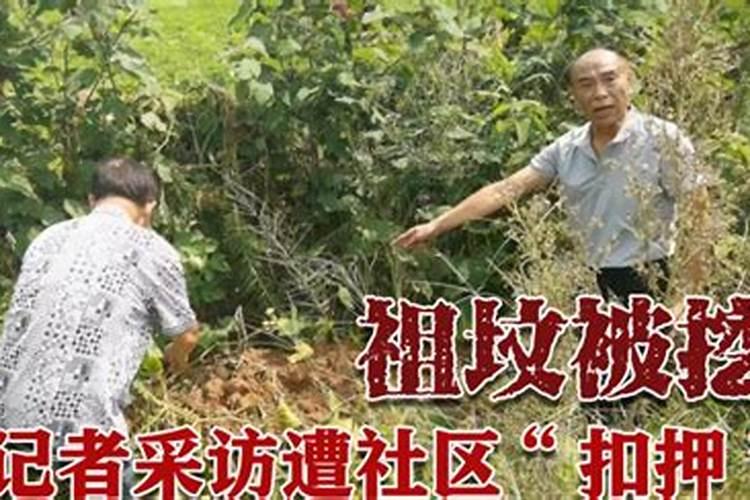 祖坟的挖祖坟事件