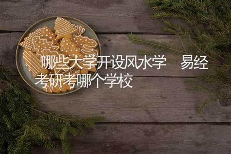 哪些学校开设风水学？