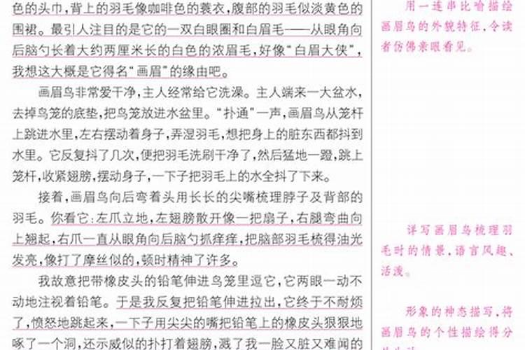 介绍一种事物作文大全