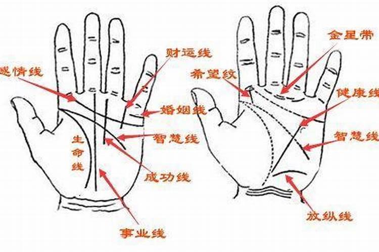 看风水找什么手相好男人？