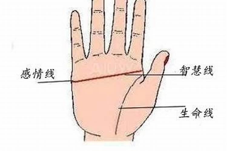 风水手相图解手掌厚的男人好不好？