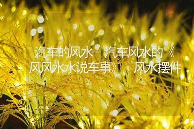 汽车风水的《风风水水说车事》