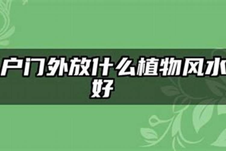 入户门外放什么植物风水好？