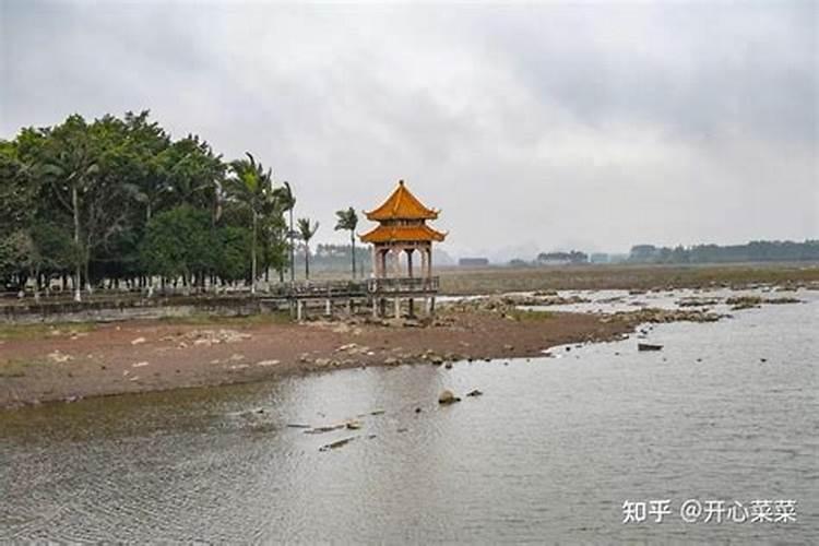 贵港哪里有看风水的地方？